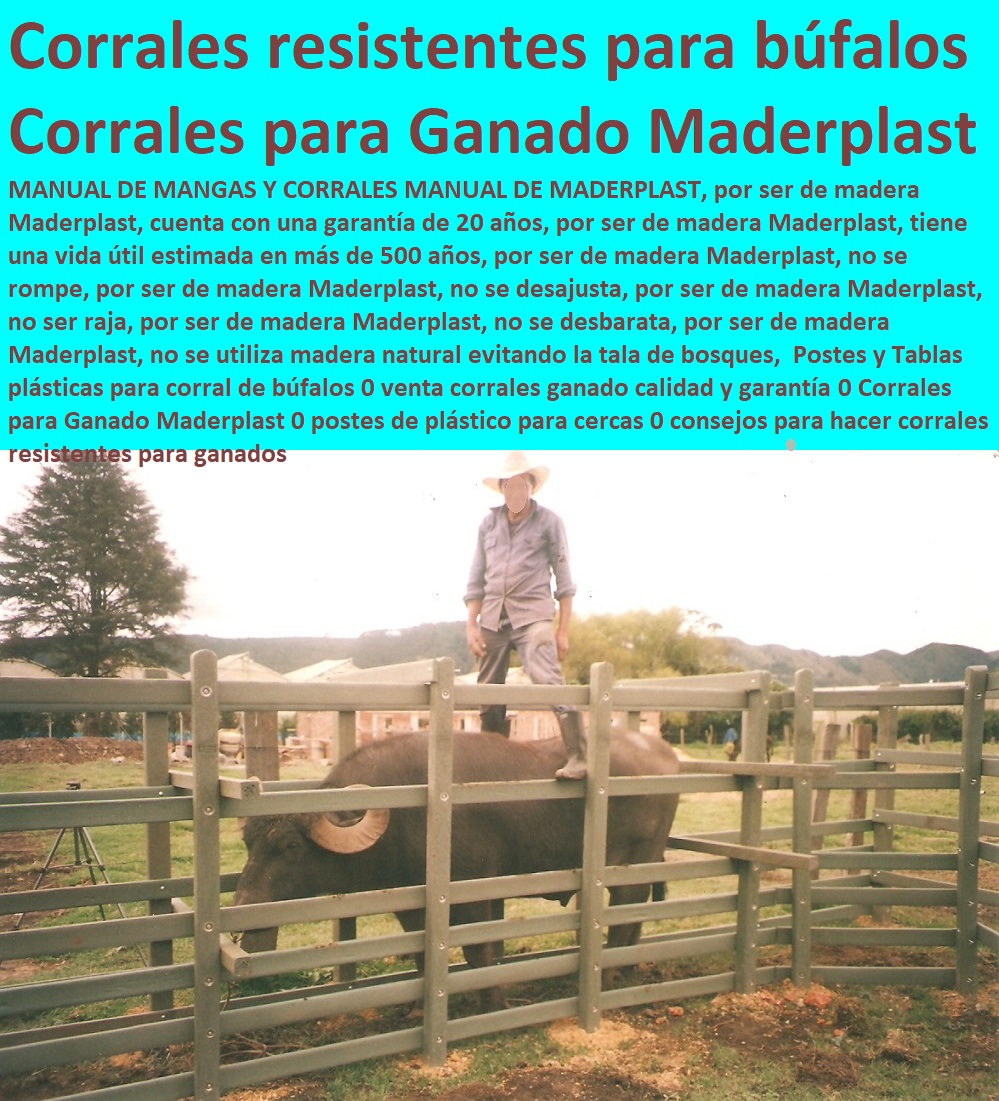 Corrales fuertes Maderplast ganadería bufalina corral plástico ganado búfalos 0 ¿Qué Es Una Producción Ganadera 0 Corrales Establos Ecológicos Maderplast 0 Corrales y Establos Para Ganado 0 Establos Ganado Económicos búfalos 0 0 Corrales fuertes Maderplast ganadería bufalina corral plástico ganado búfalos 0 Explotación Ganadera Automatizada, Sistemas de Pastoreo, Estabulación de Ganado, Pastoreo Intensivo, Establos, Corrales, Saladeros, Comederos, Cerramientos, Postes, Ganaderías Tecnificadas, Ganaderías Tecnificadas, ¿Qué Es Una Producción Ganadera 0 Corrales Establos Ecológicos Maderplast 0 Corrales y Establos Para Ganado 0 Establos Ganado Económicos búfalos 0 0